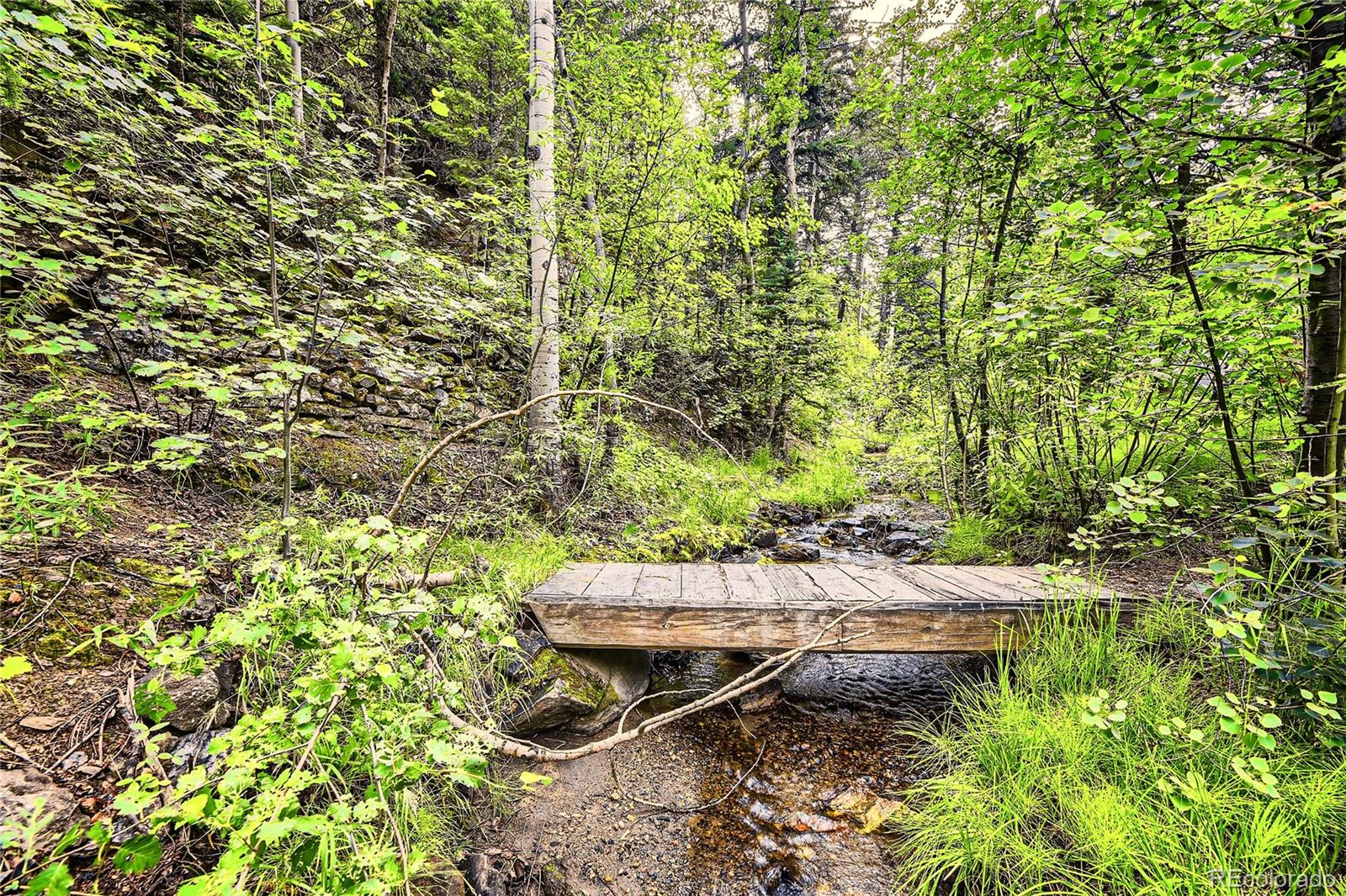 MLS Image #6 for 1211  beaver brook canyon rd ,evergreen, Colorado