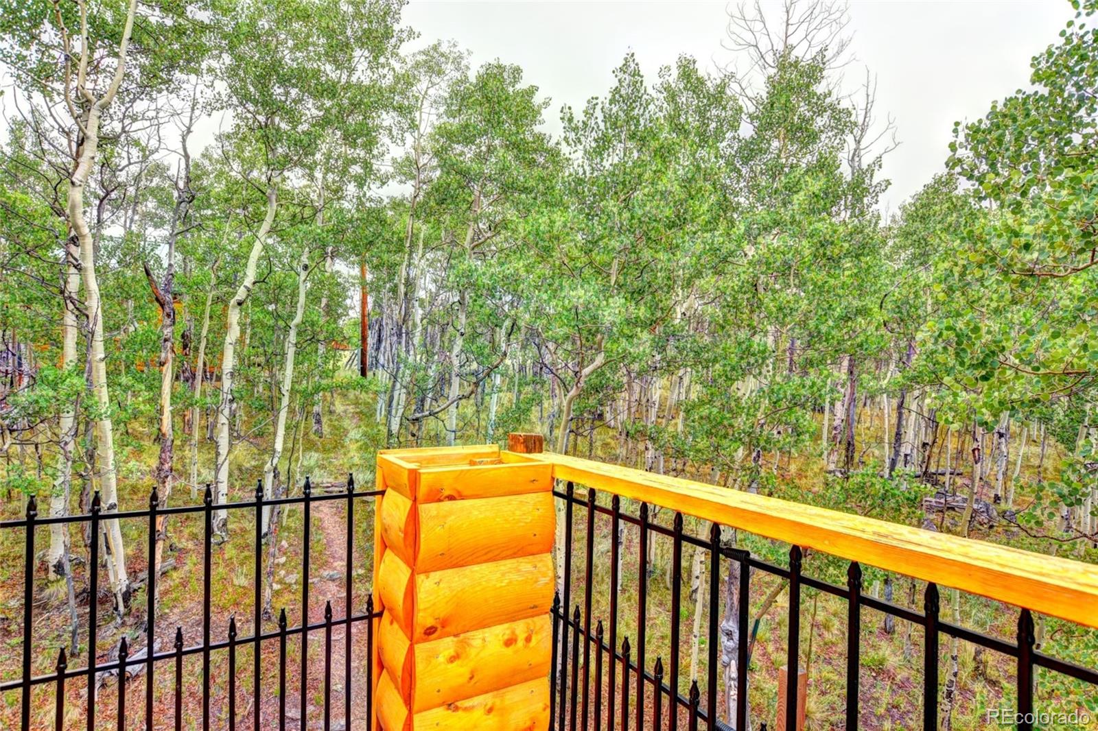 MLS Image #19 for 567  haida road,como, Colorado