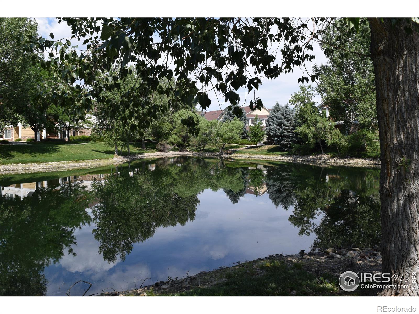 MLS Image #30 for 4685  hahns peak drive,loveland, Colorado