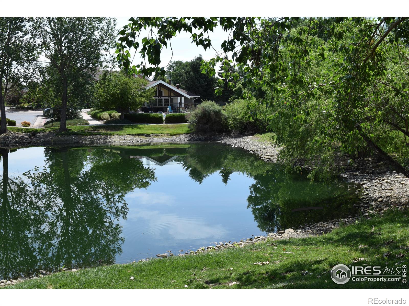 MLS Image #32 for 4685  hahns peak drive,loveland, Colorado