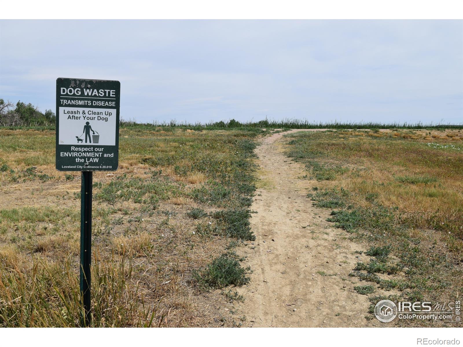 MLS Image #33 for 4685  hahns peak drive,loveland, Colorado