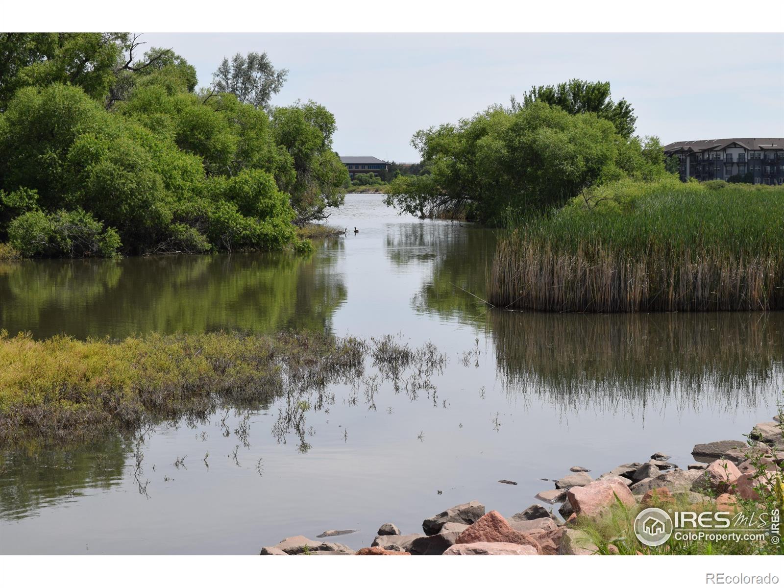 MLS Image #35 for 4685  hahns peak drive,loveland, Colorado