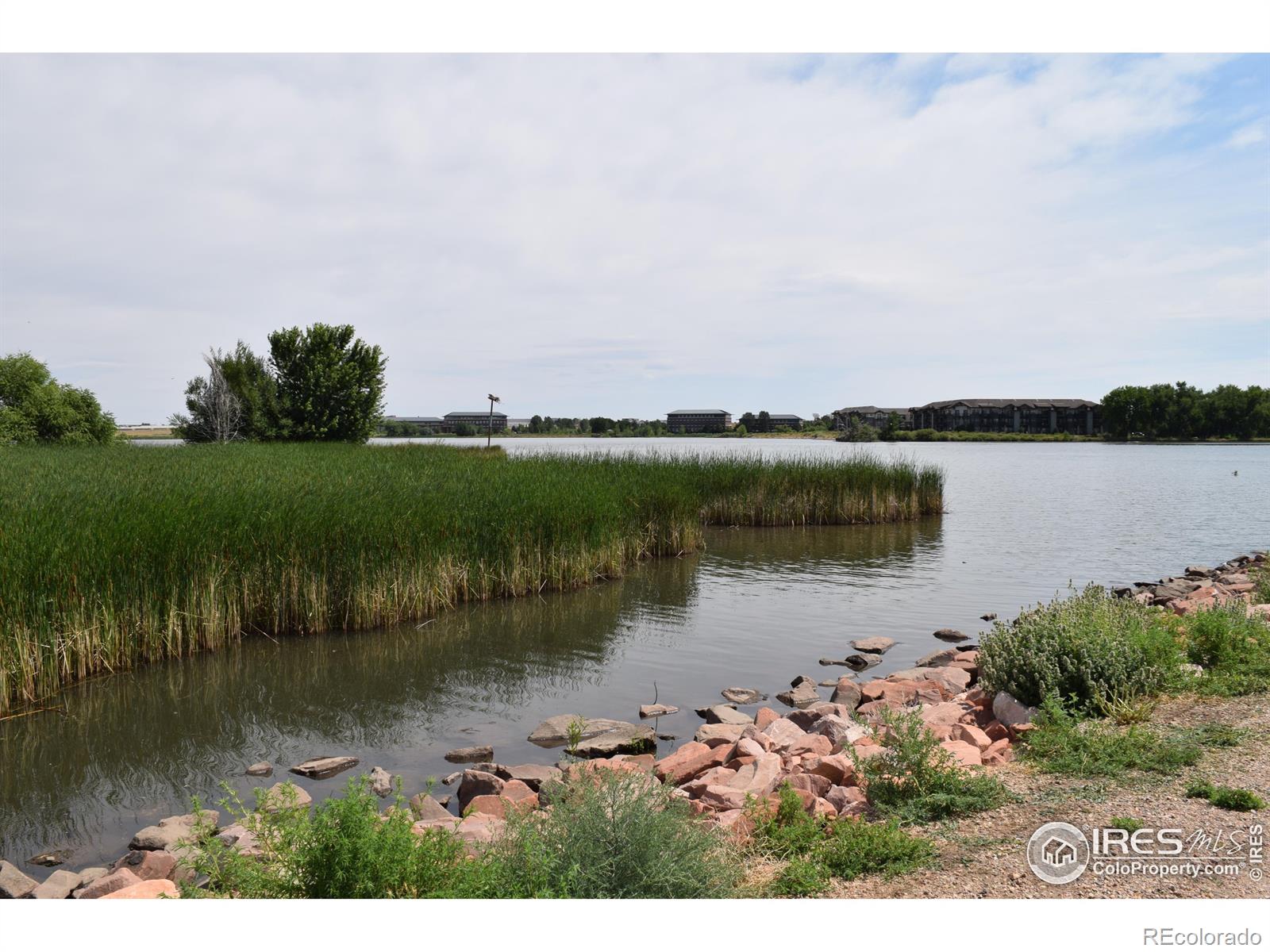 MLS Image #37 for 4685  hahns peak drive,loveland, Colorado