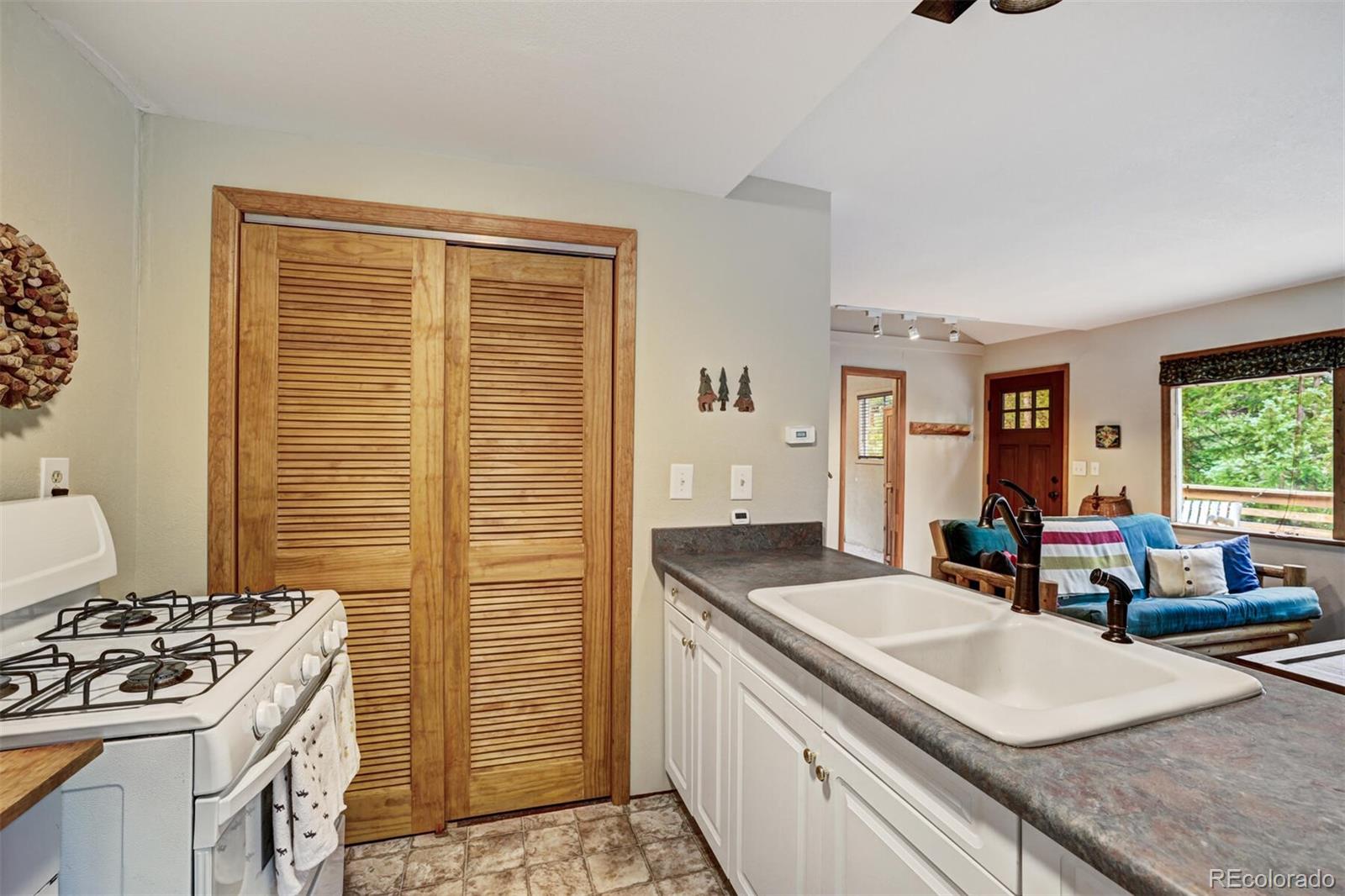 MLS Image #10 for 246  peterson drive,alma, Colorado