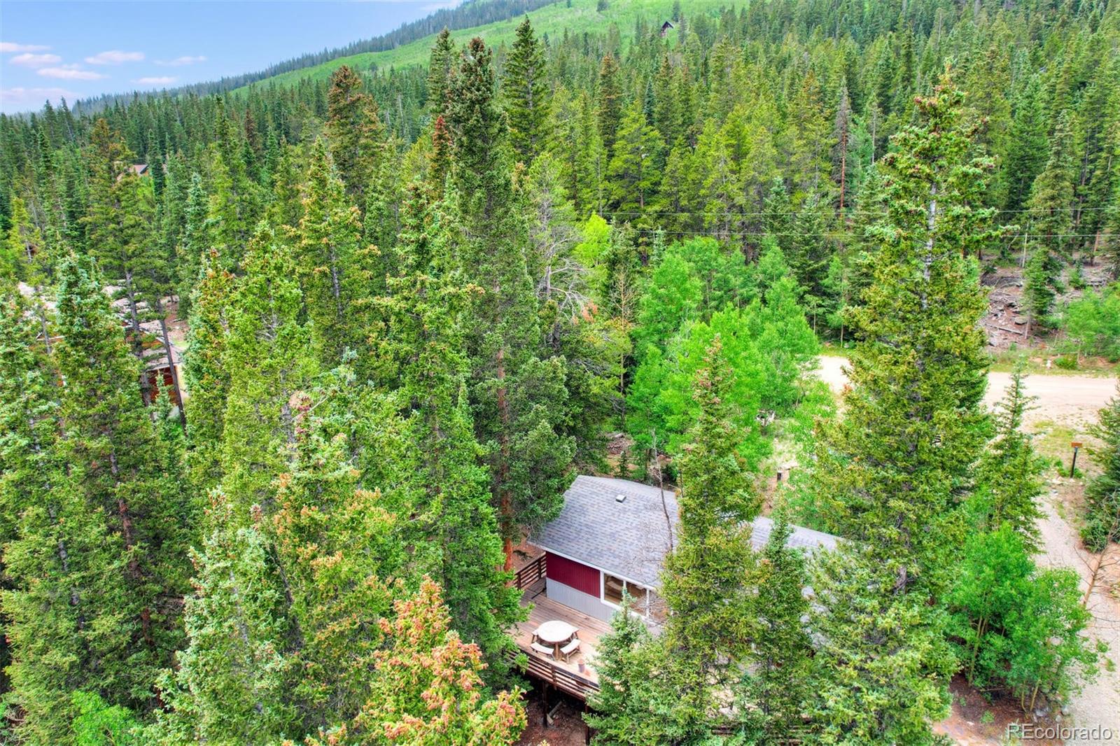 MLS Image #22 for 246  peterson drive,alma, Colorado