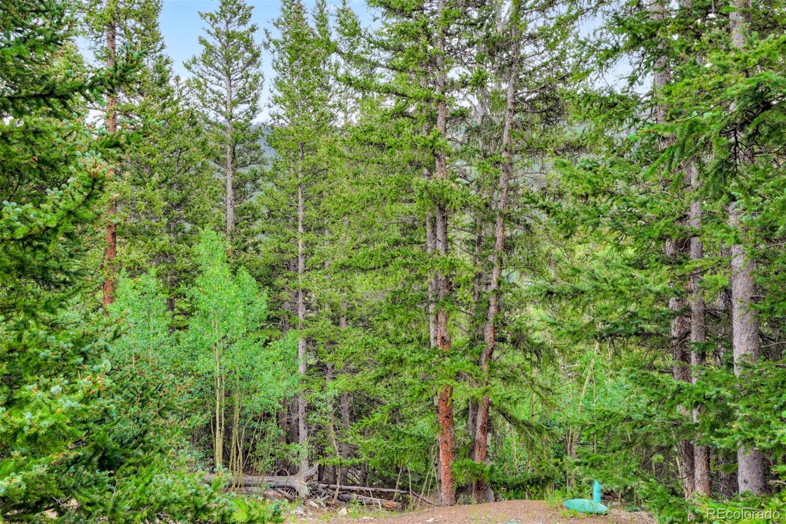 MLS Image #32 for 246  peterson drive,alma, Colorado