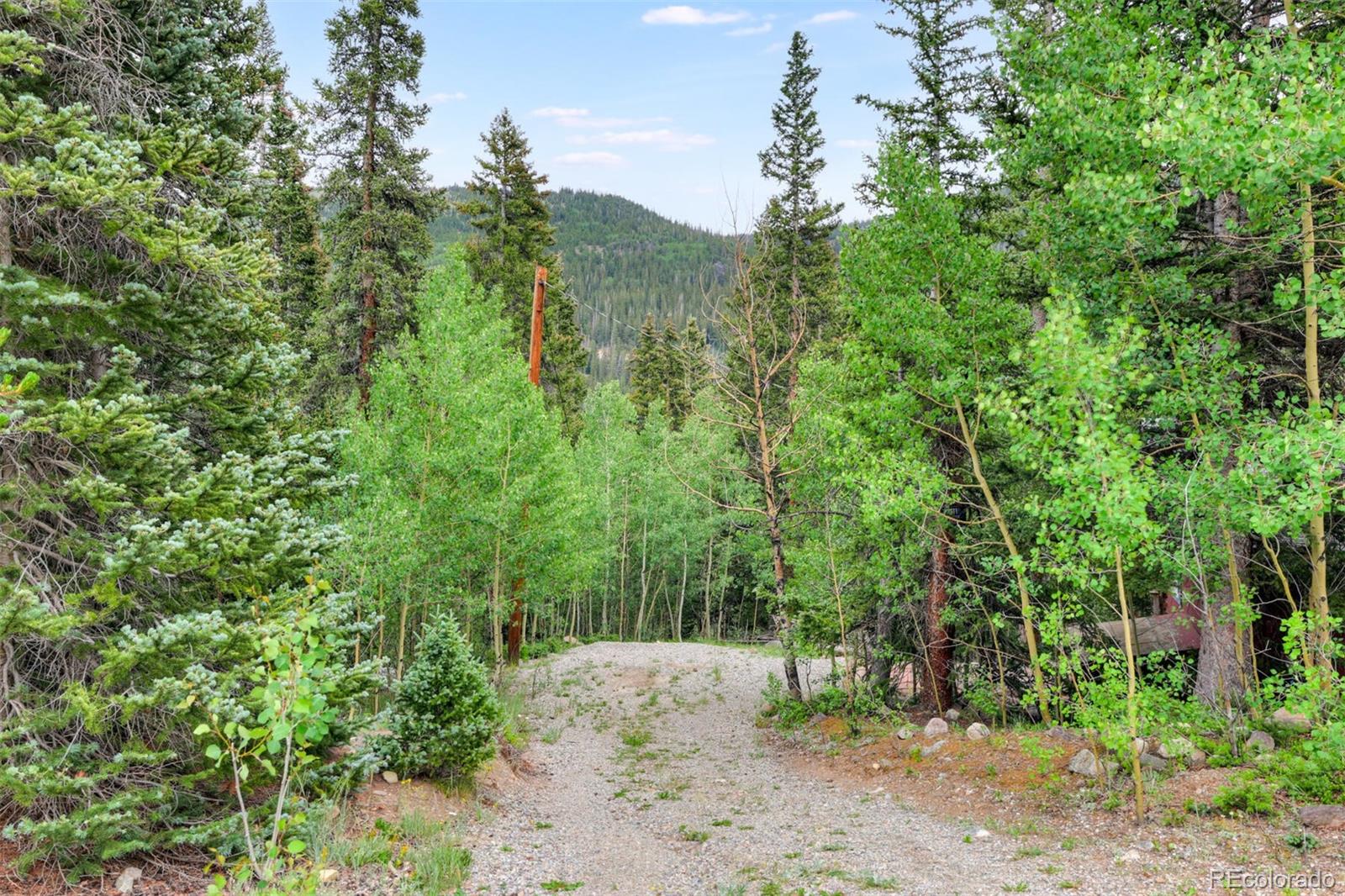 MLS Image #34 for 246  peterson drive,alma, Colorado