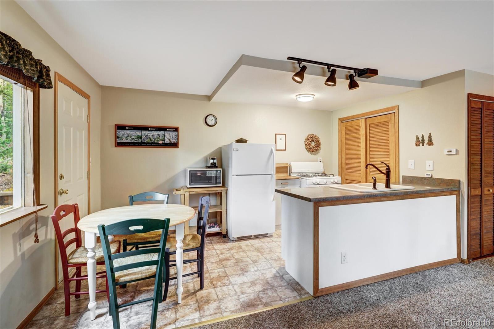 MLS Image #7 for 246  peterson drive,alma, Colorado