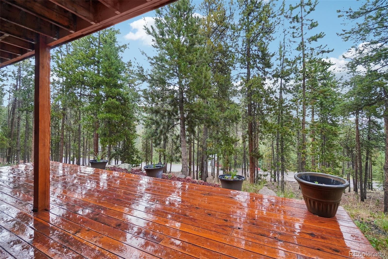 MLS Image #36 for 6763  deer path,evergreen, Colorado