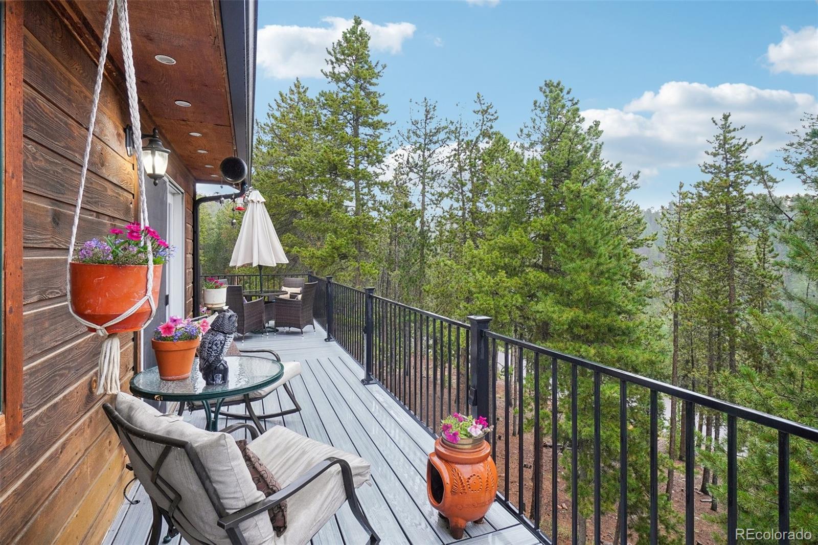 MLS Image #9 for 6763  deer path,evergreen, Colorado