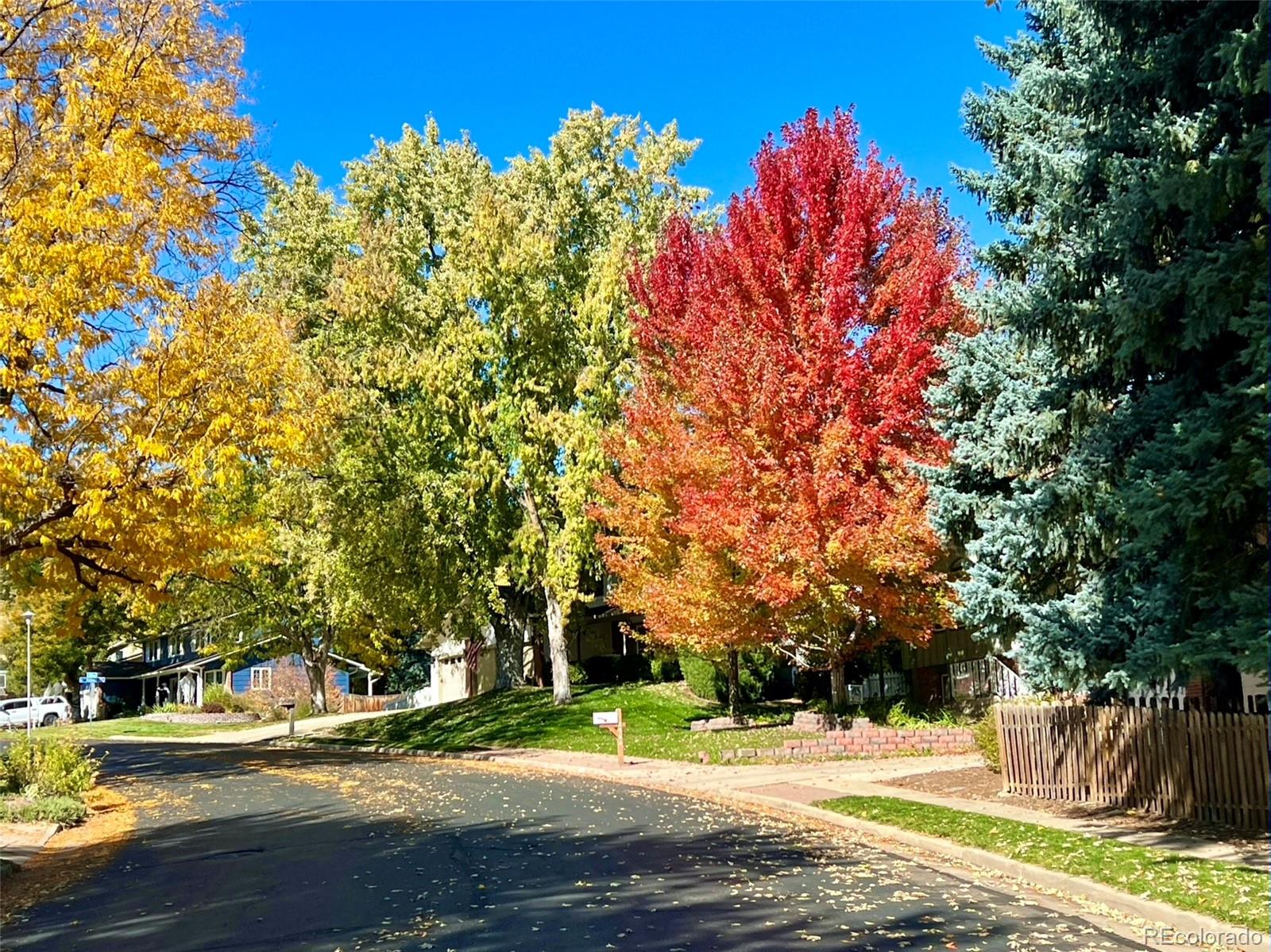 MLS Image #36 for 2554 s balsam street,lakewood, Colorado