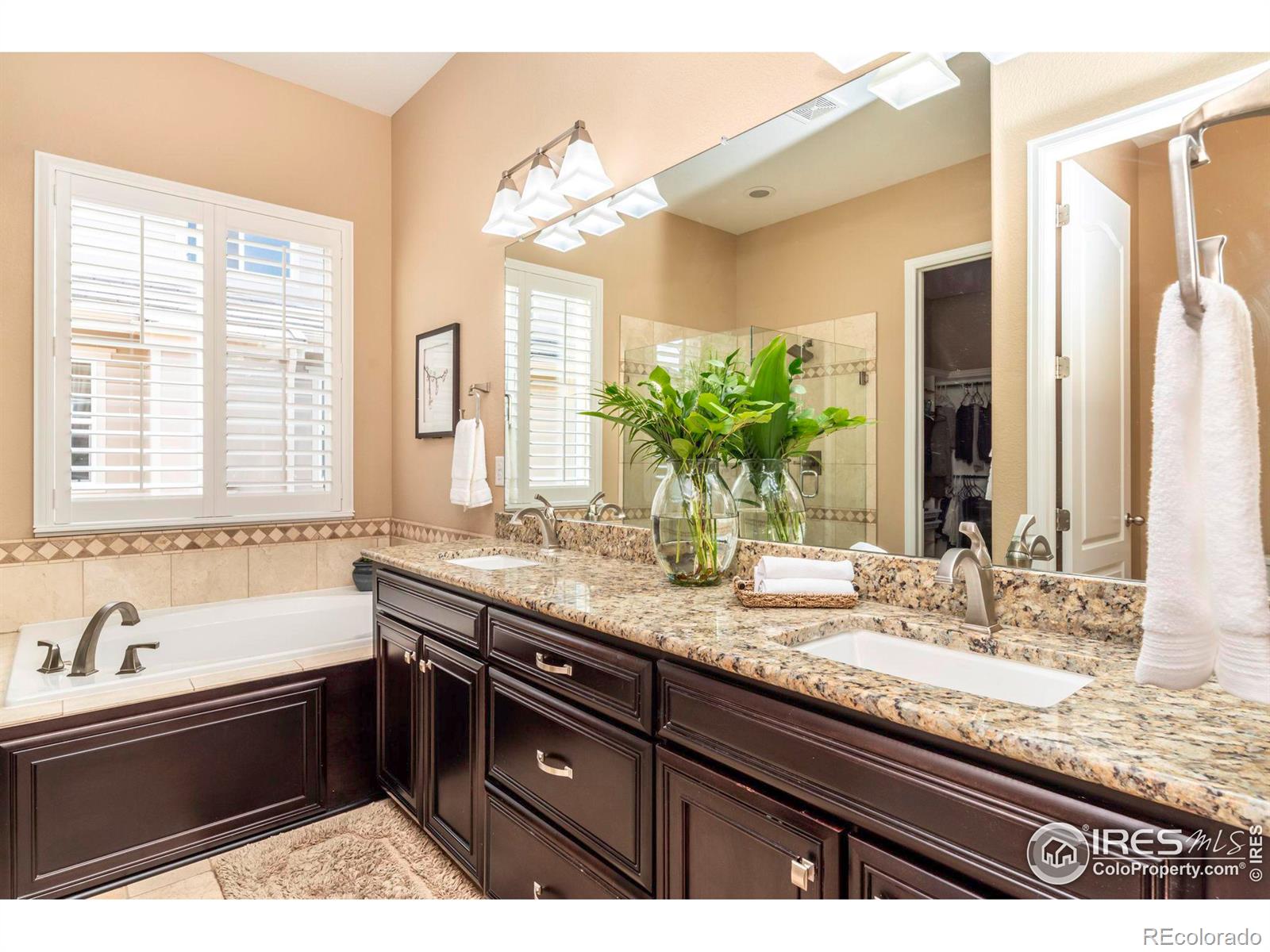 MLS Image #17 for 15974  maroon bells drive,broomfield, Colorado