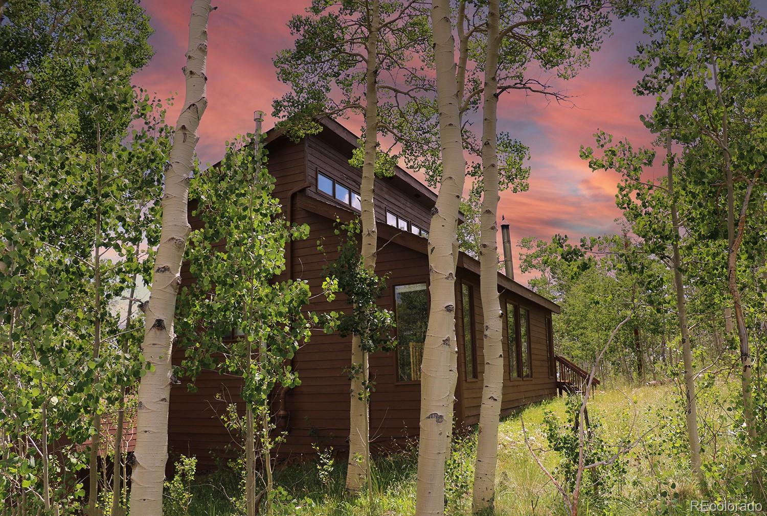 MLS Image #2 for 229  sheep ridge road,fairplay, Colorado