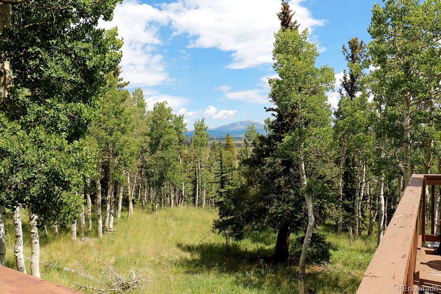 MLS Image #22 for 229  sheep ridge road,fairplay, Colorado