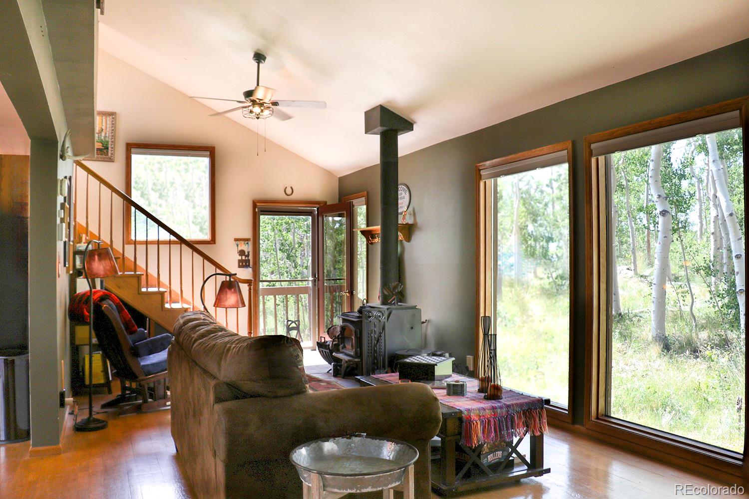 MLS Image #6 for 229  sheep ridge road,fairplay, Colorado