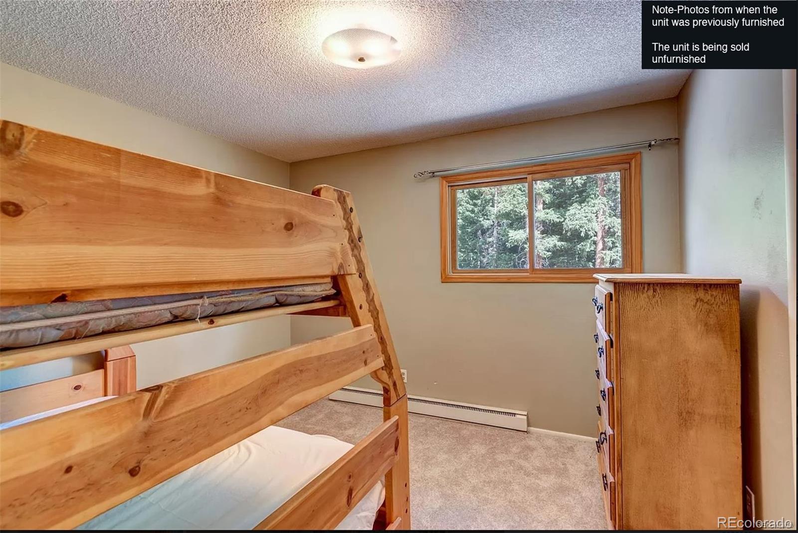 MLS Image #18 for 283  range road,breckenridge, Colorado