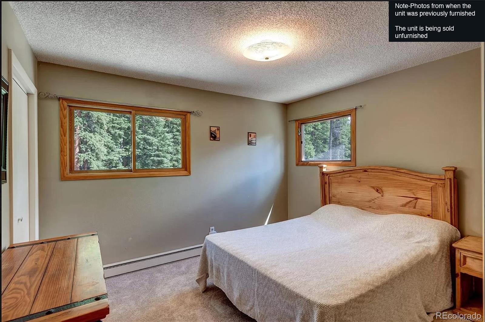 MLS Image #19 for 283  range road,breckenridge, Colorado