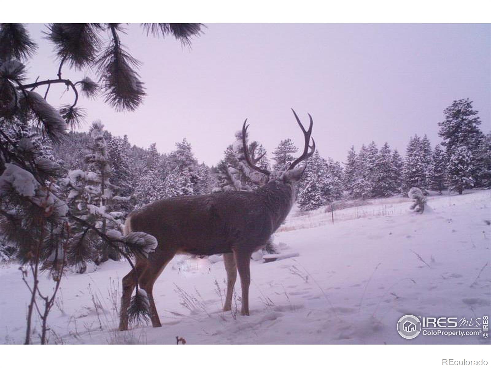 MLS Image #28 for 1830  hell canyon road,estes park, Colorado