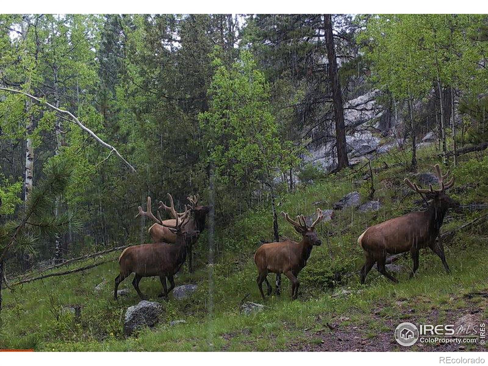 MLS Image #29 for 1830  hell canyon road,estes park, Colorado