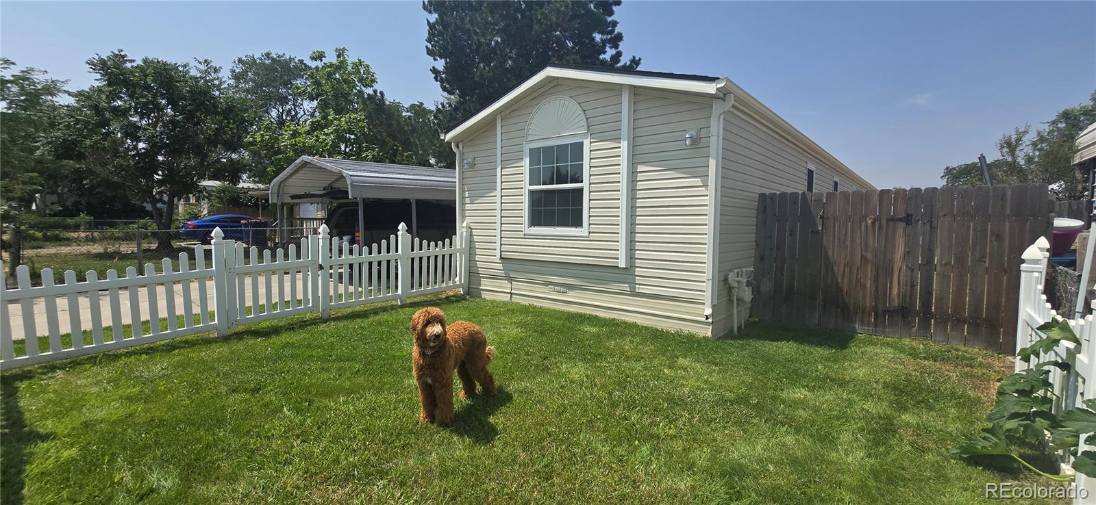 MLS Image #0 for 527  glen creighton drive,dacono, Colorado