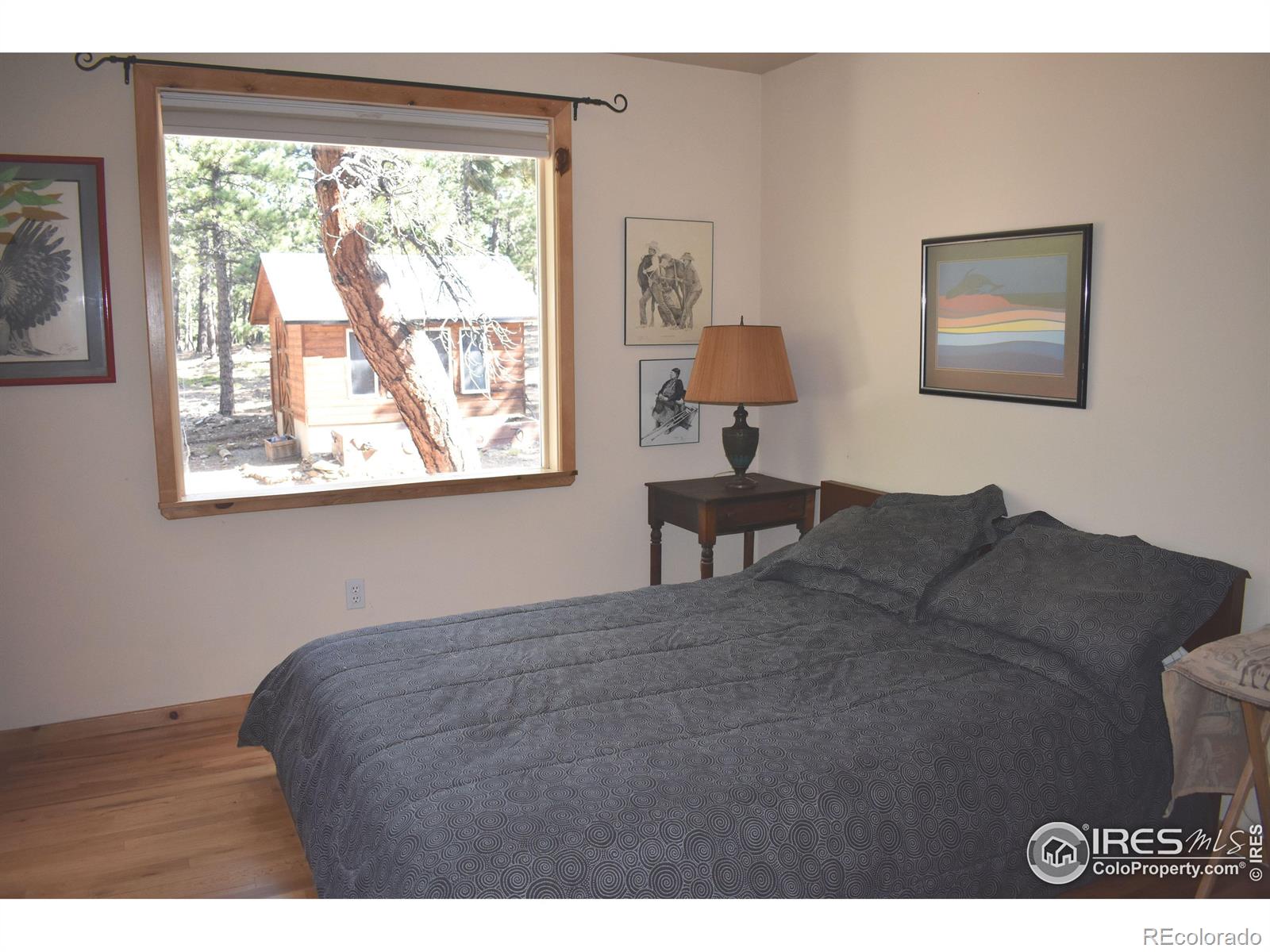 MLS Image #4 for 93  bridger trail,ward, Colorado