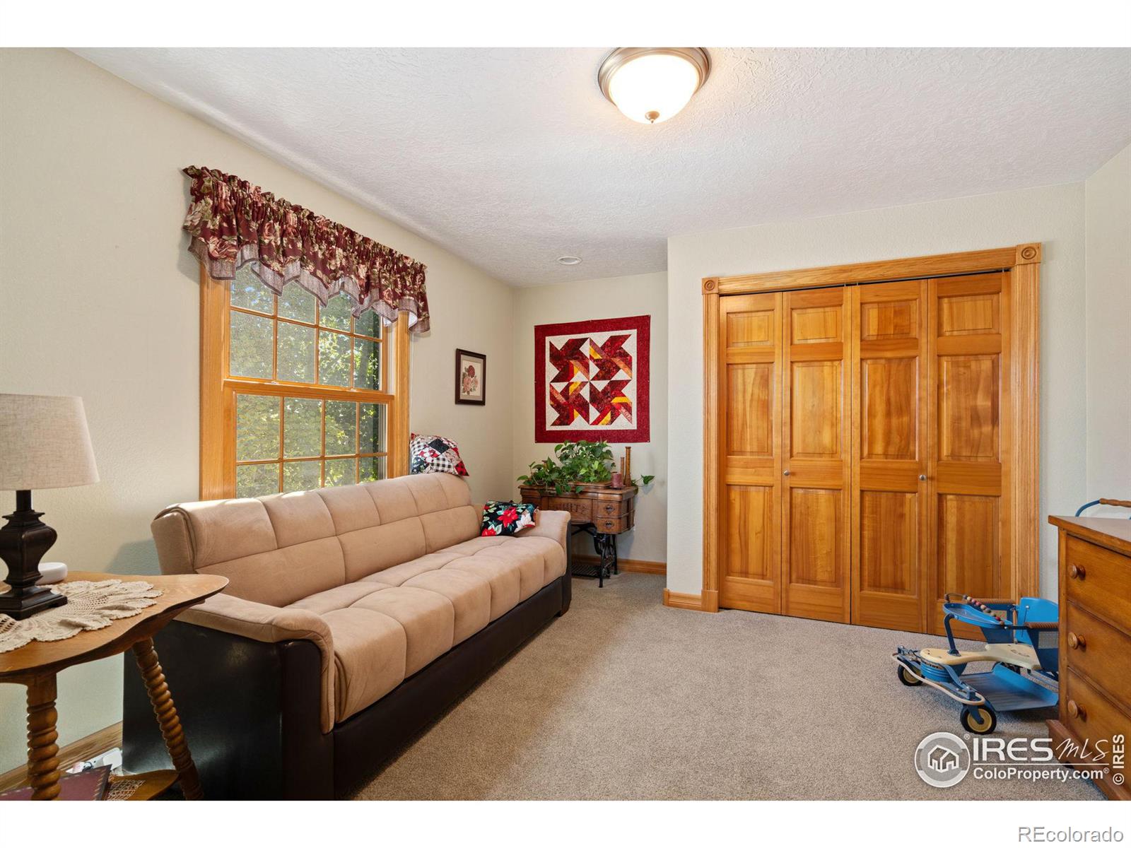 MLS Image #27 for 2026  trail ridge circle,severance, Colorado