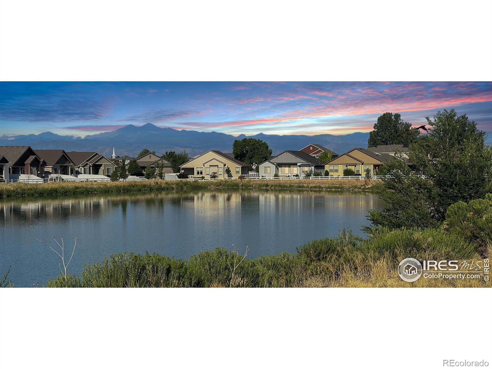 MLS Image #17 for 594  boxwood drive,windsor, Colorado