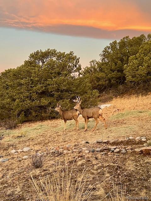 MLS Image #32 for 415  rocky ridge road,westcliffe, Colorado