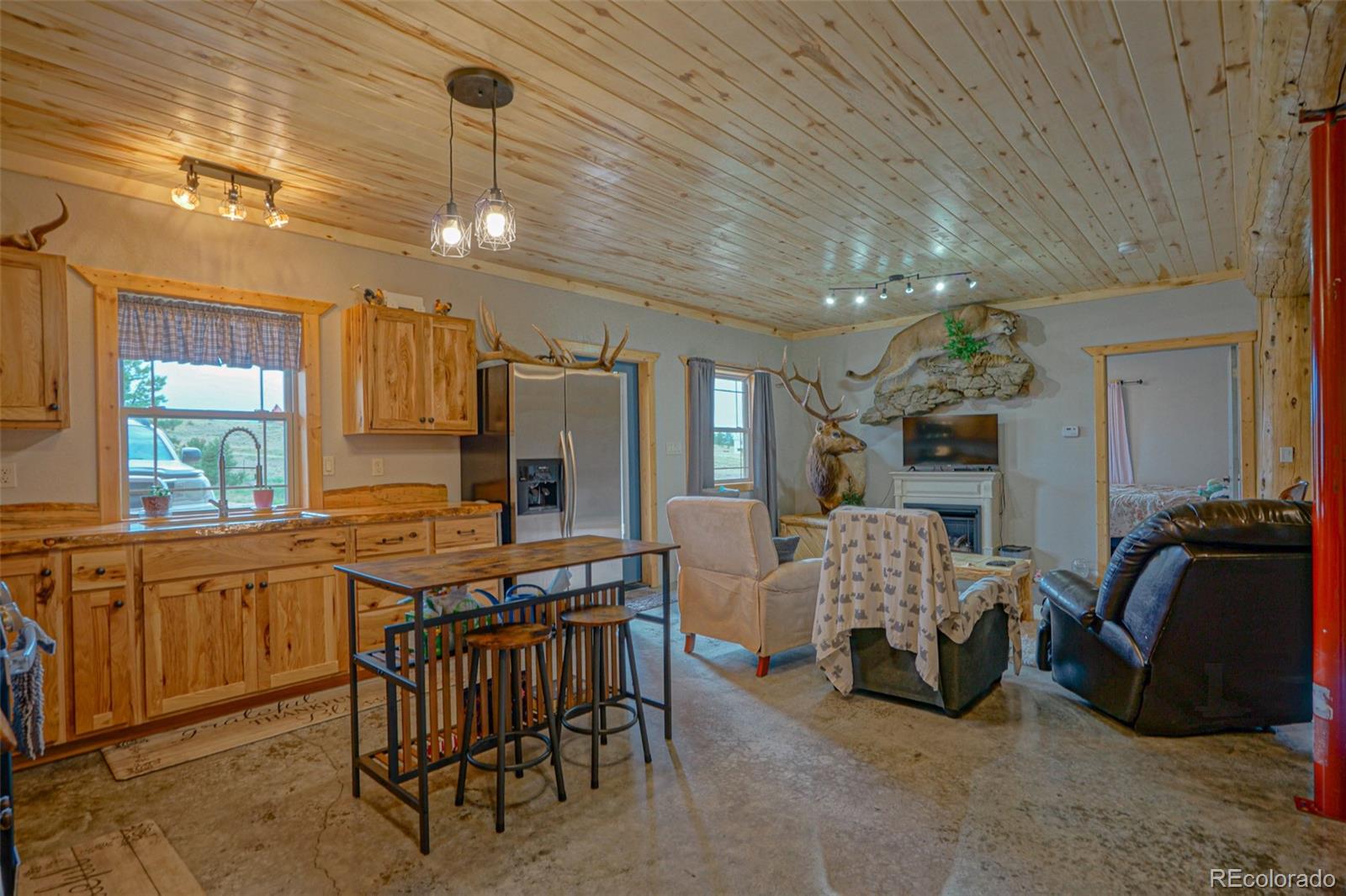 MLS Image #26 for 3069  sangre drive,westcliffe, Colorado