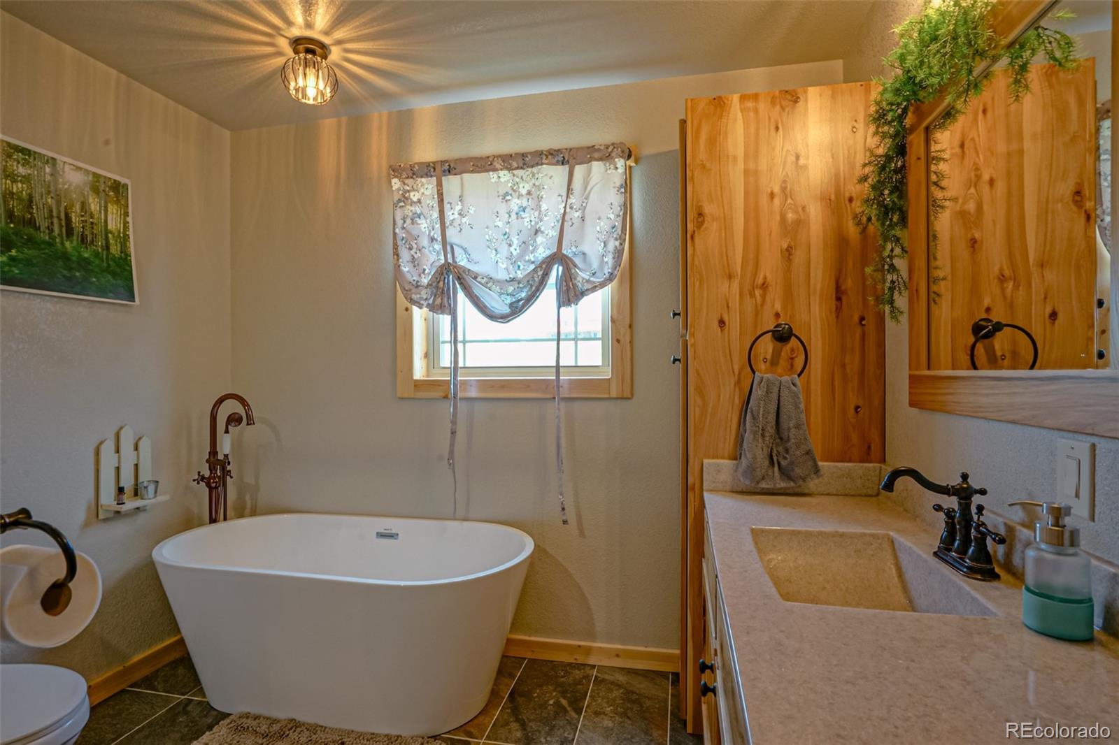 MLS Image #29 for 3069  sangre drive,westcliffe, Colorado