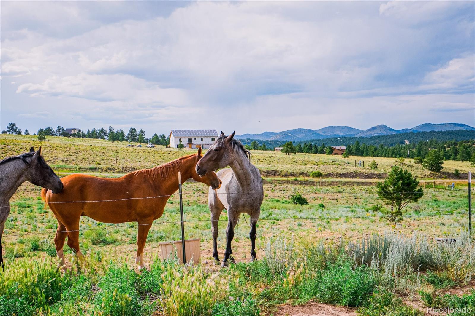 MLS Image #42 for 3069  sangre drive,westcliffe, Colorado