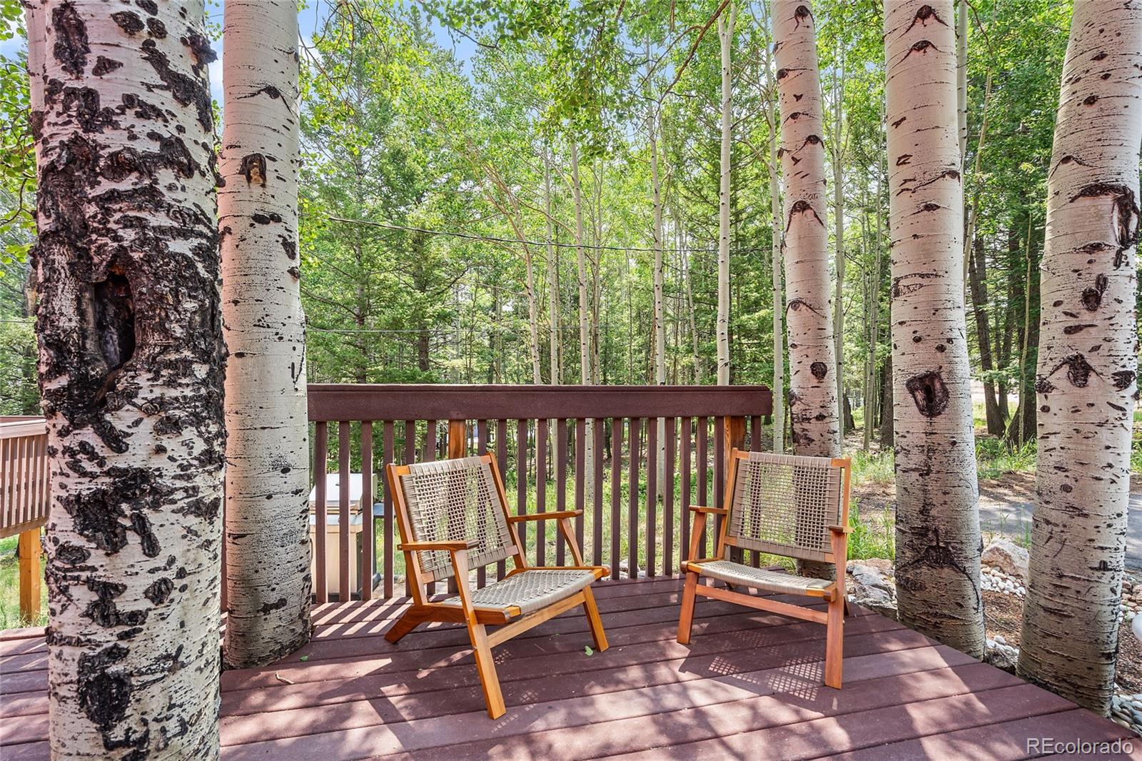 MLS Image #25 for 30031  nancys lane,conifer, Colorado