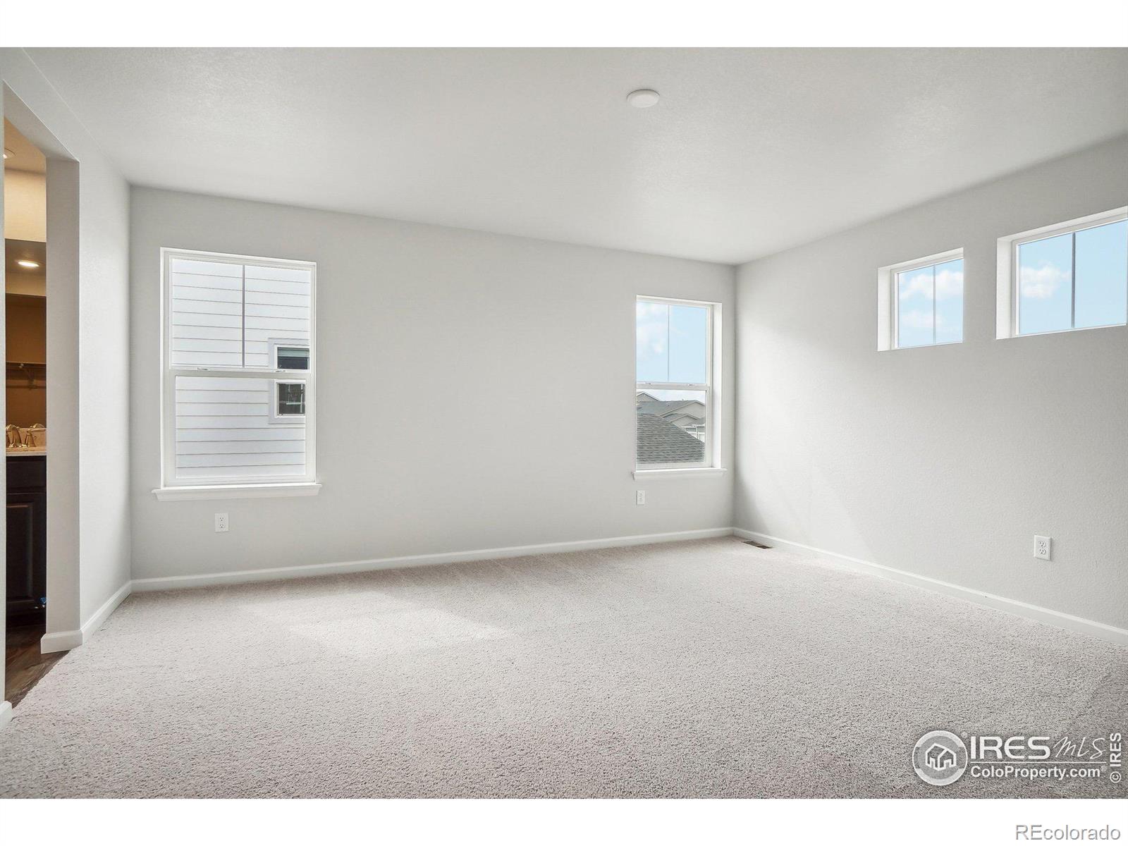 MLS Image #23 for 813  hummocky way,windsor, Colorado