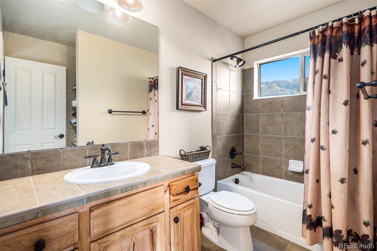 MLS Image #21 for 104  saddle horn court,granby, Colorado