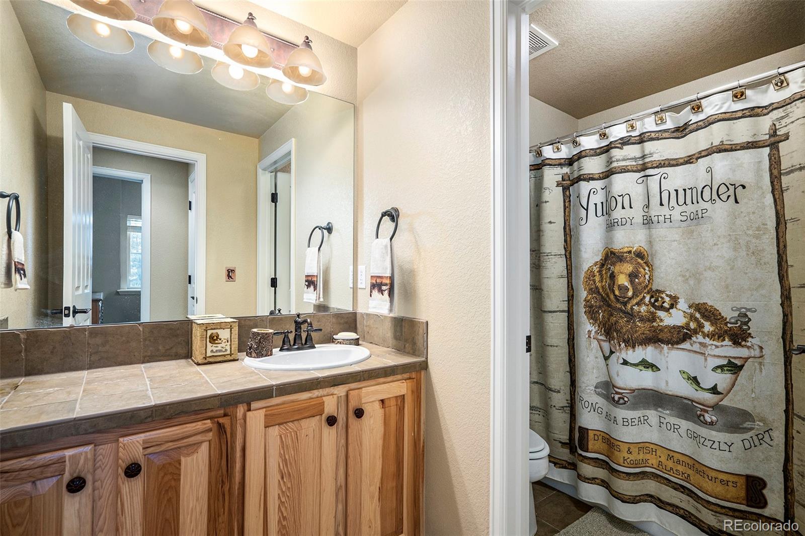 MLS Image #25 for 104  saddle horn court,granby, Colorado