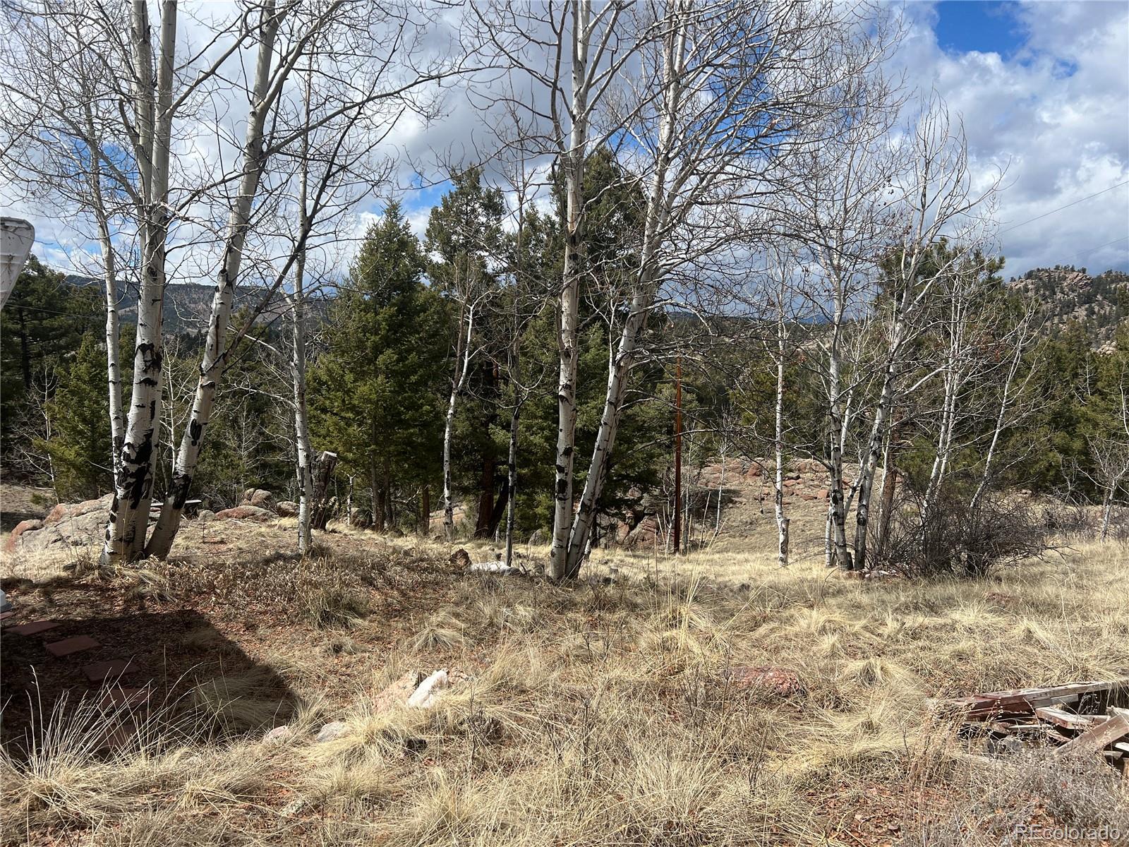 CMA Image for 571  Ponderosa Drive,Florissant, Colorado