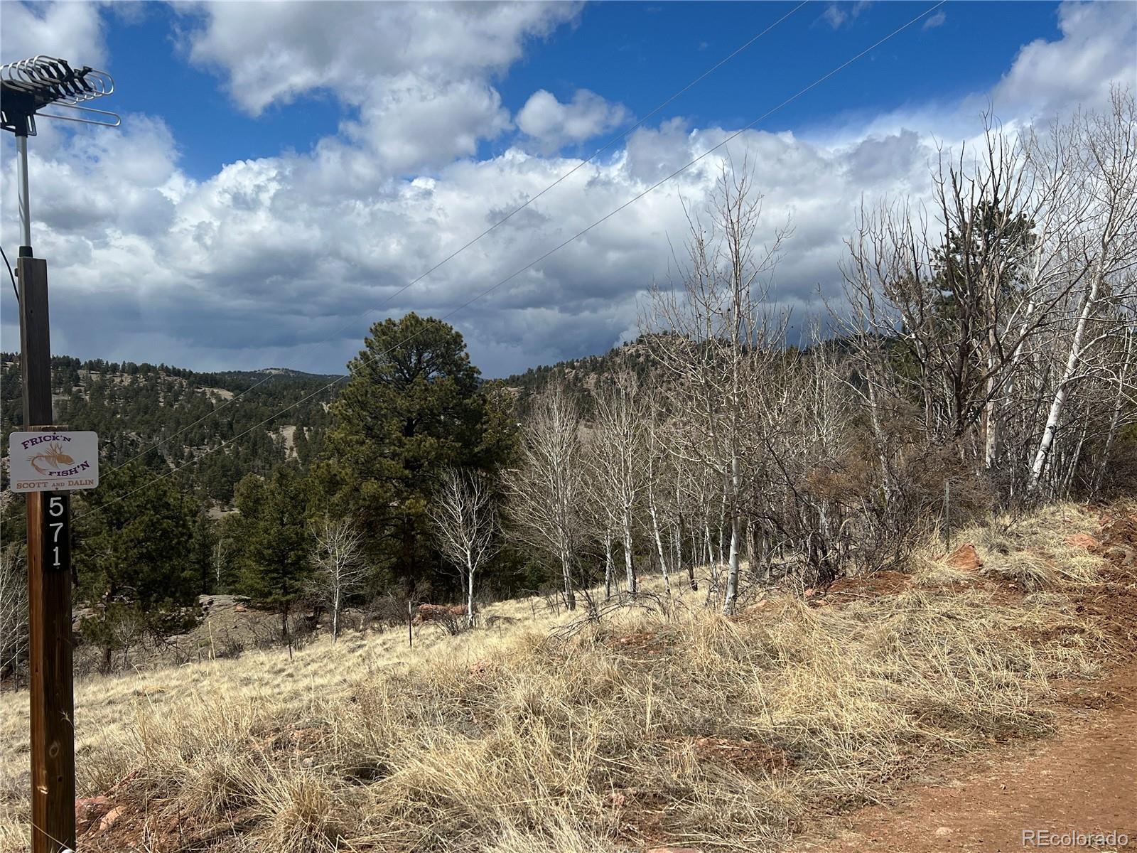 MLS Image #12 for 571  ponderosa drive,florissant, Colorado