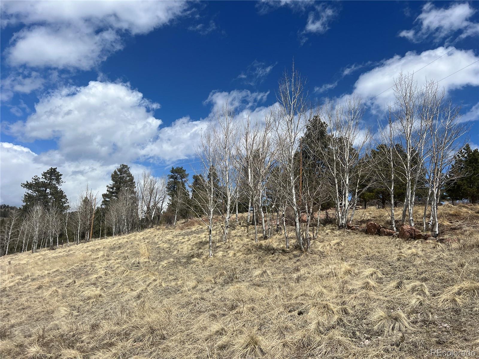 MLS Image #14 for 571  ponderosa drive,florissant, Colorado