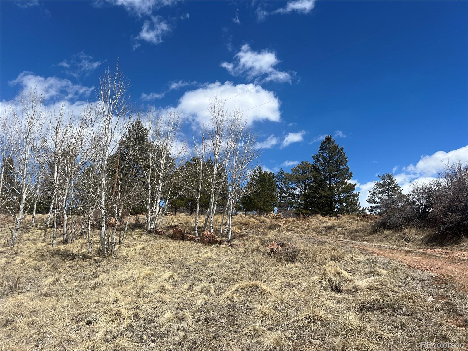 MLS Image #9 for 571  ponderosa drive,florissant, Colorado