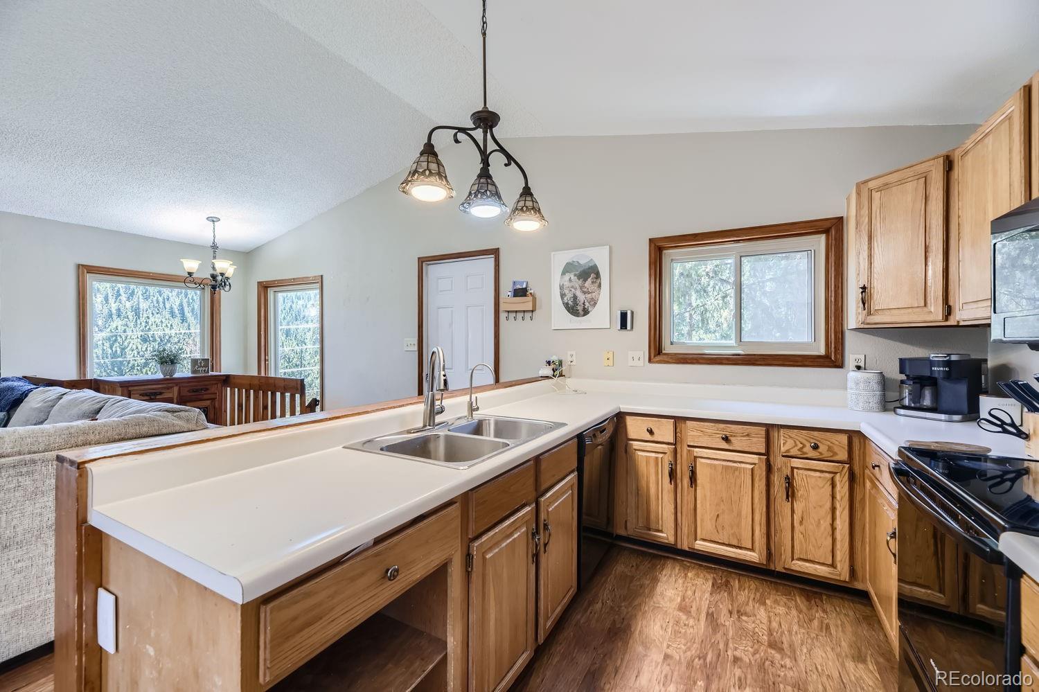 MLS Image #10 for 10251  blue sky trail,conifer, Colorado