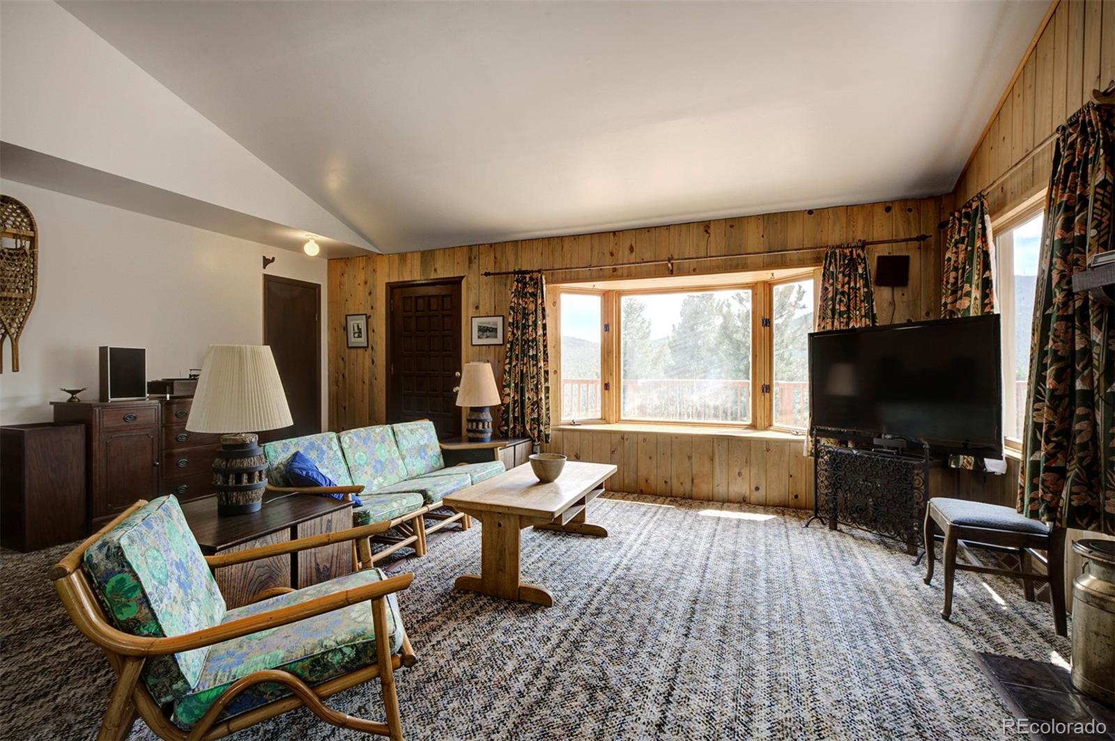 MLS Image #10 for 10042  buena vista drive,conifer, Colorado