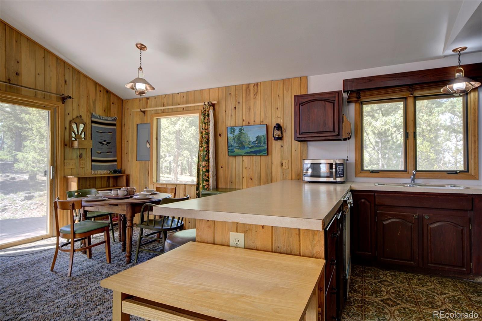 MLS Image #12 for 10042  buena vista drive,conifer, Colorado