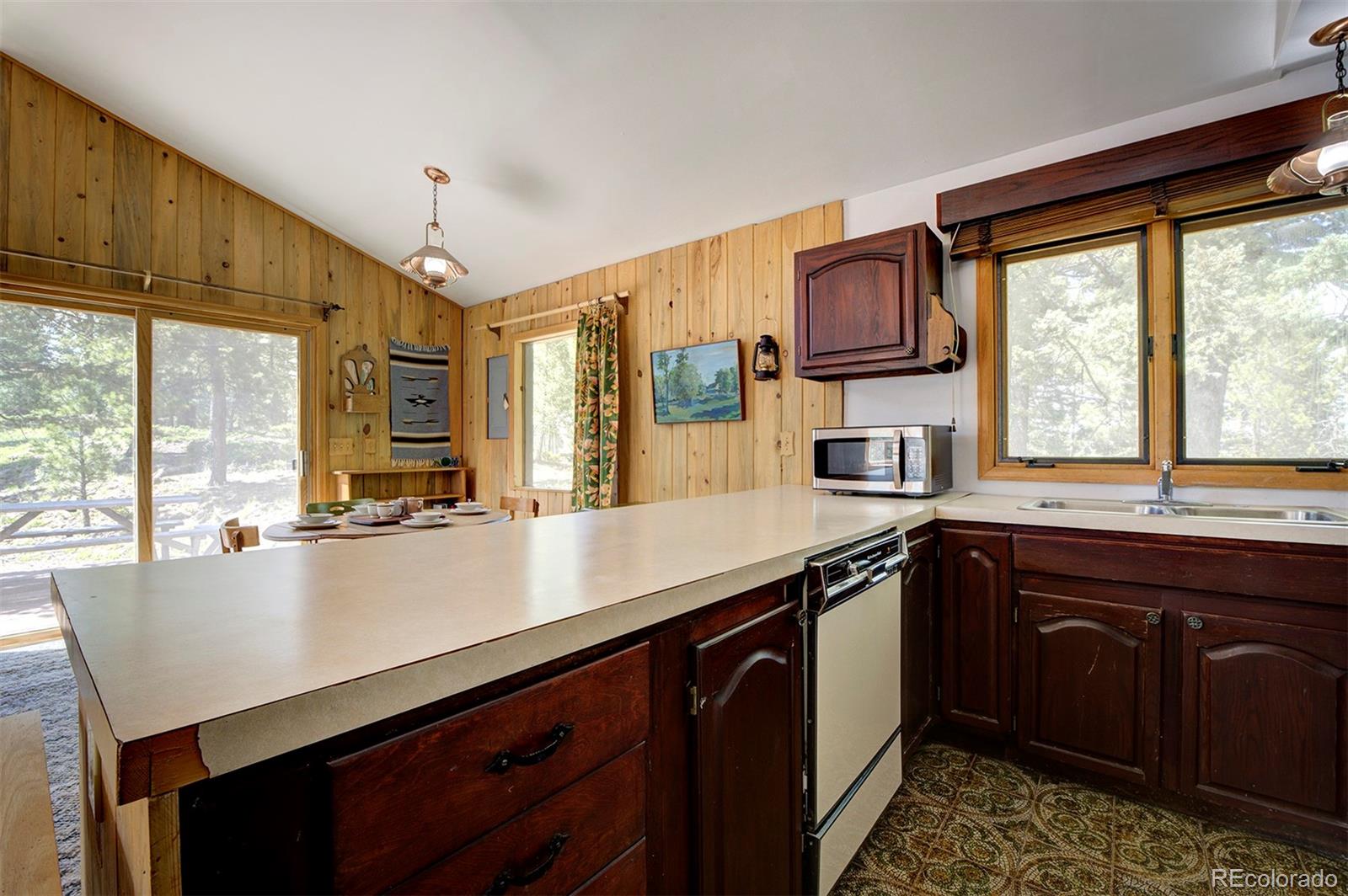 MLS Image #13 for 10042  buena vista drive,conifer, Colorado