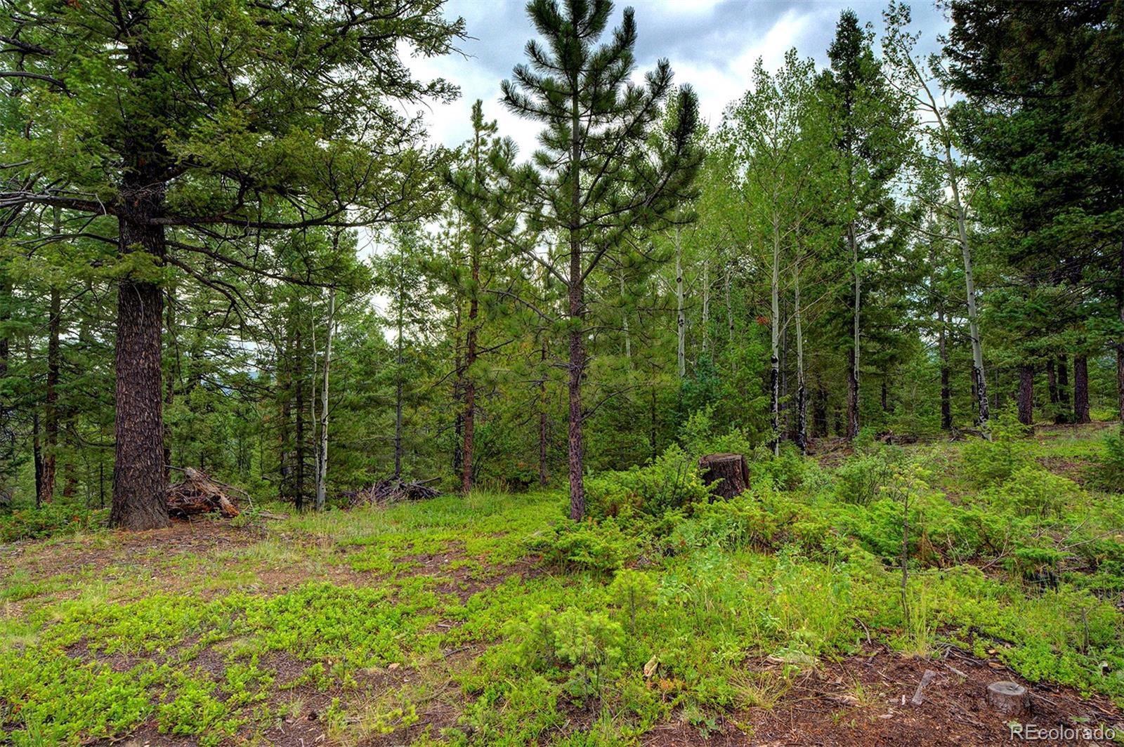 MLS Image #26 for 10042  buena vista drive,conifer, Colorado