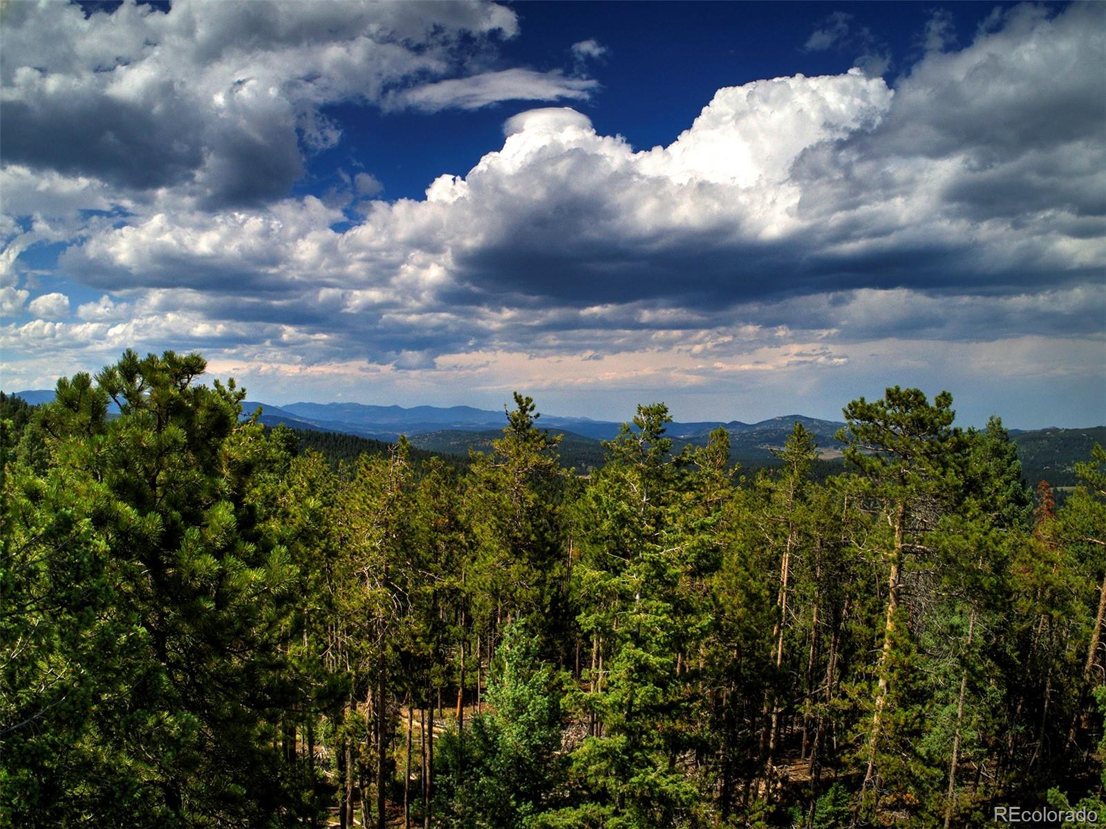 MLS Image #28 for 10042  buena vista drive,conifer, Colorado