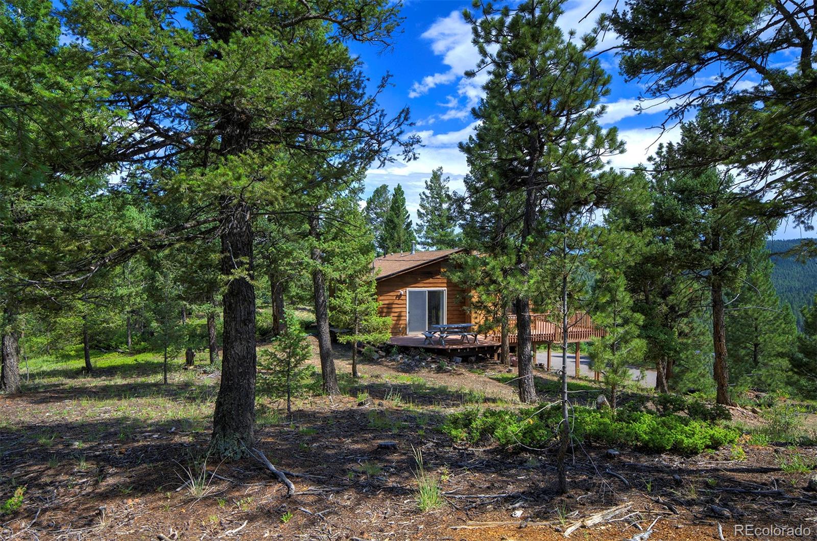 MLS Image #32 for 10042  buena vista drive,conifer, Colorado