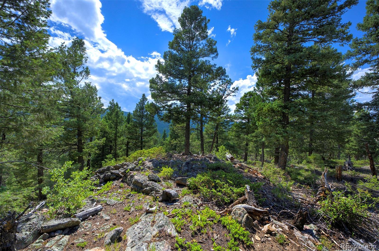 MLS Image #35 for 10042  buena vista drive,conifer, Colorado