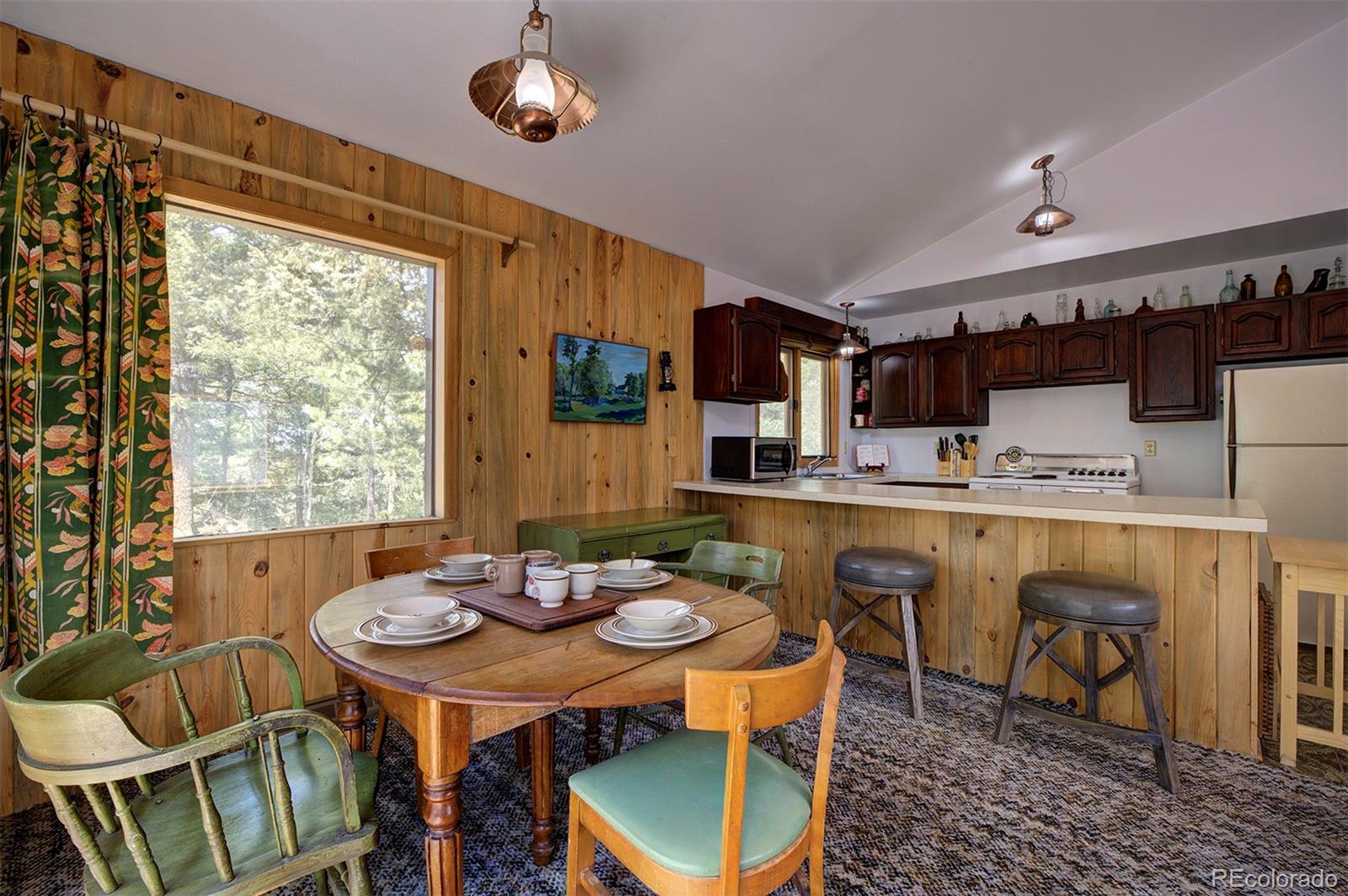 MLS Image #5 for 10042  buena vista drive,conifer, Colorado