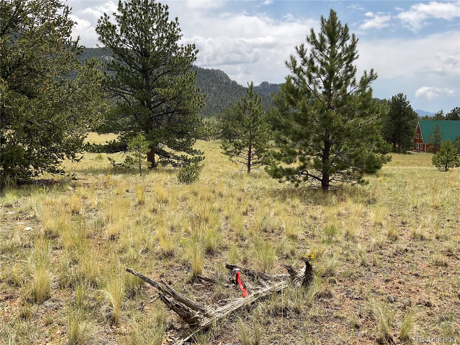 MLS Image #27 for 490  teller street,hartsel, Colorado