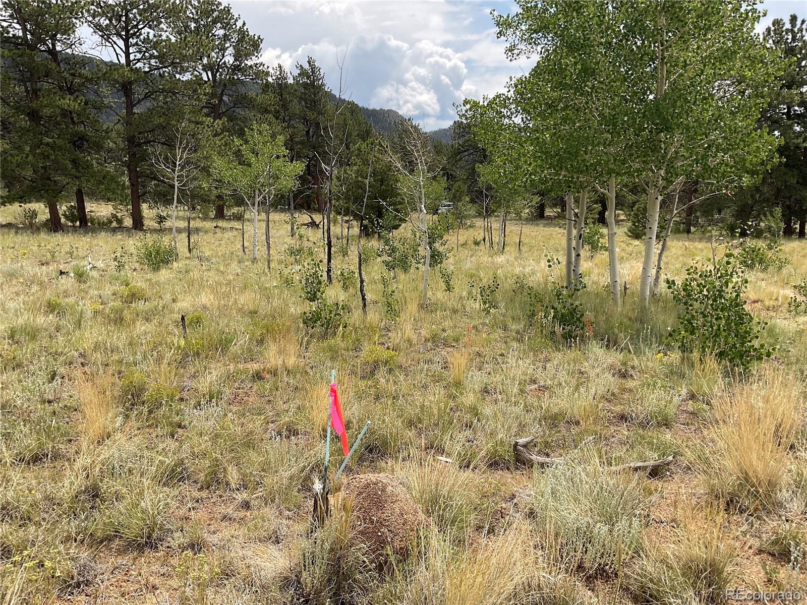 MLS Image #28 for 490  teller street,hartsel, Colorado